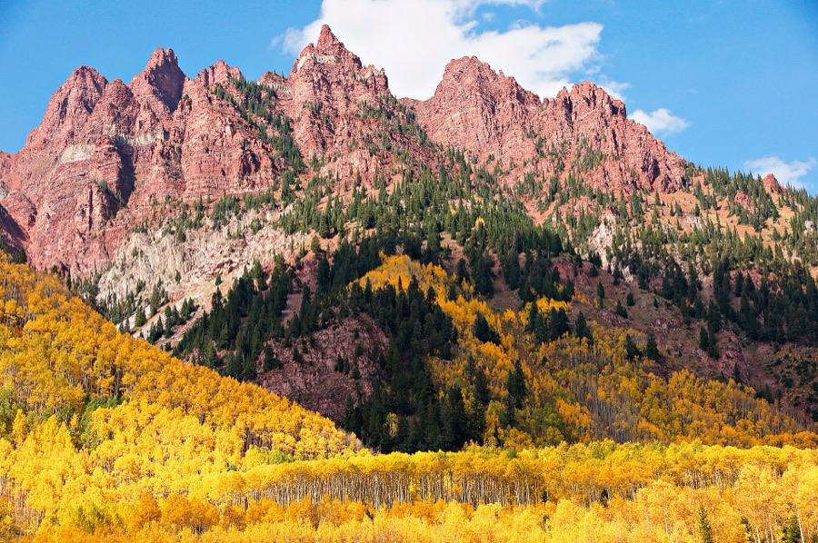Golden aspens in autumn beneath the red cliffs of the Maroon Bells.